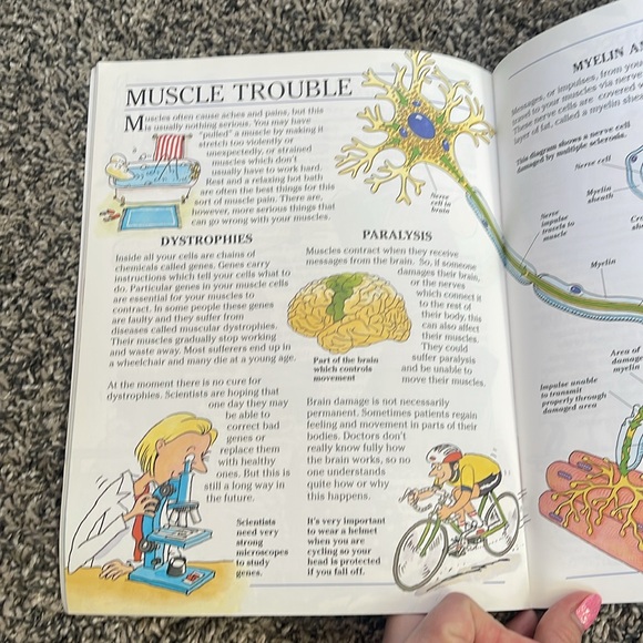 Kids book paperback science book understanding your muscles and bones - Picture 14 of 14